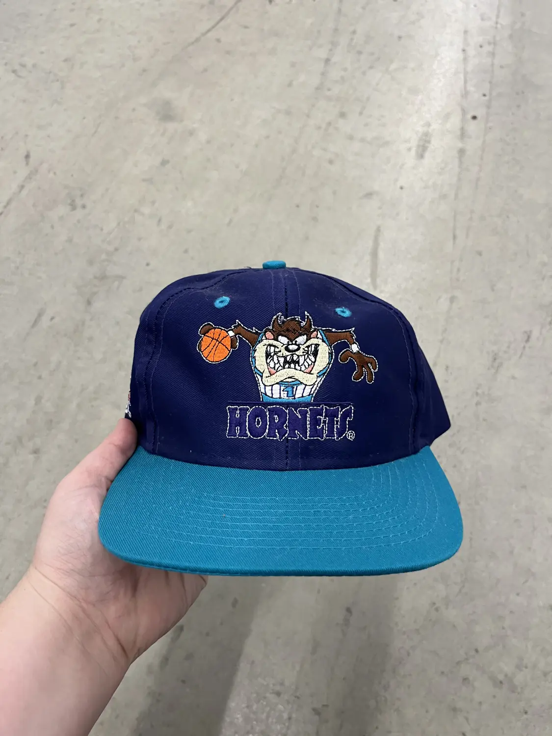 Vintage Taz Looney Tunes Charlotte Hornets Snapback