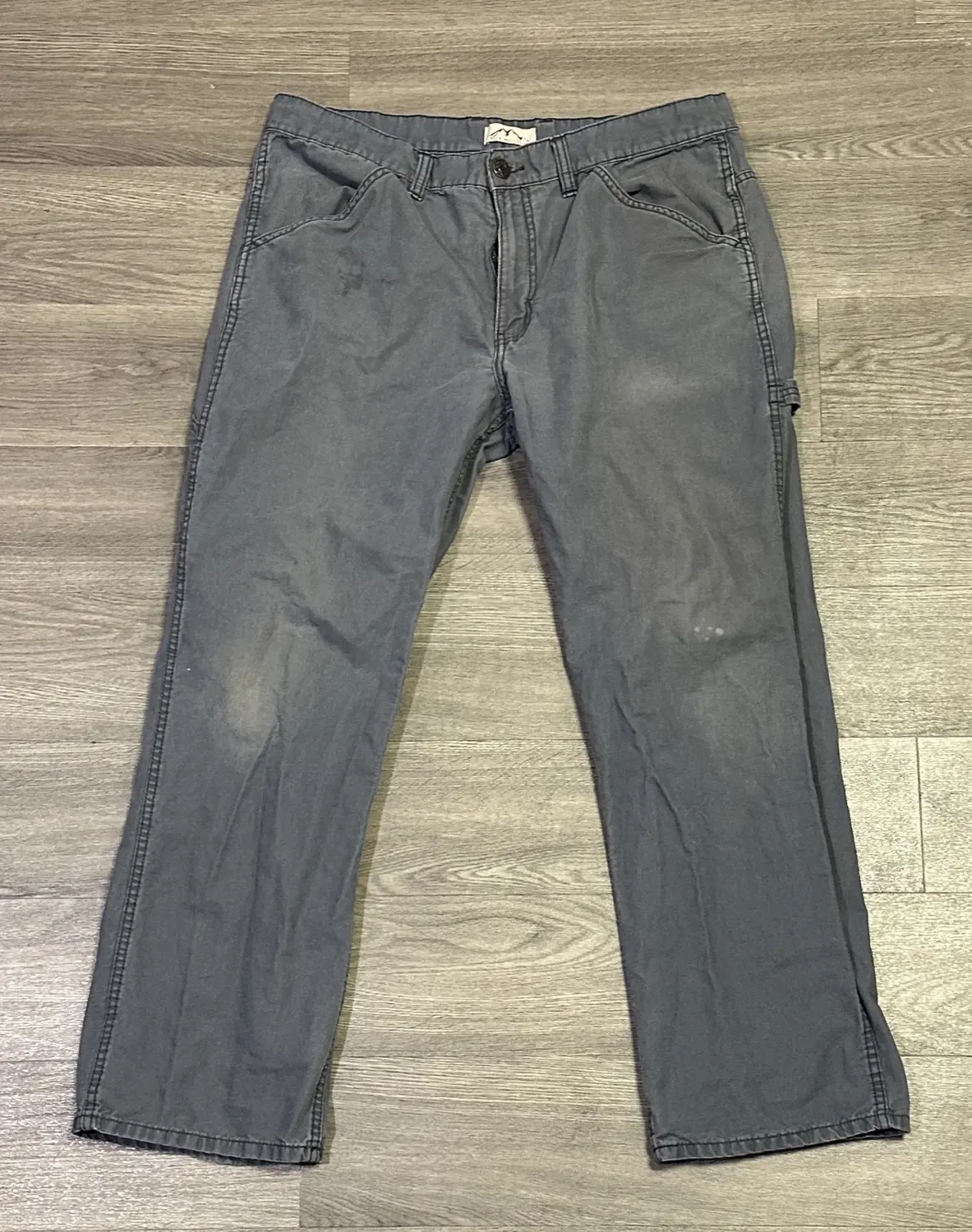 Blue Mountain Carpenter pants