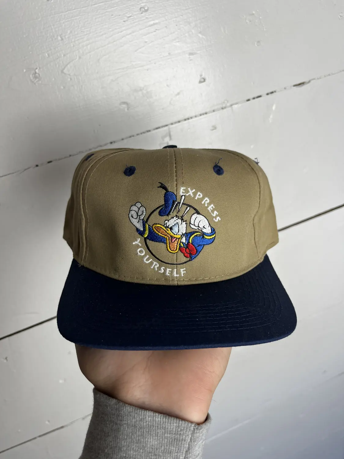 Donald Duck hat